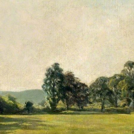Summer Landscape